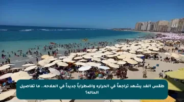 طقس الغد يشهد تراجعاً في الحرارة واضطراباً جديداً في الملاحة.. ما تفاصيل الحالة؟